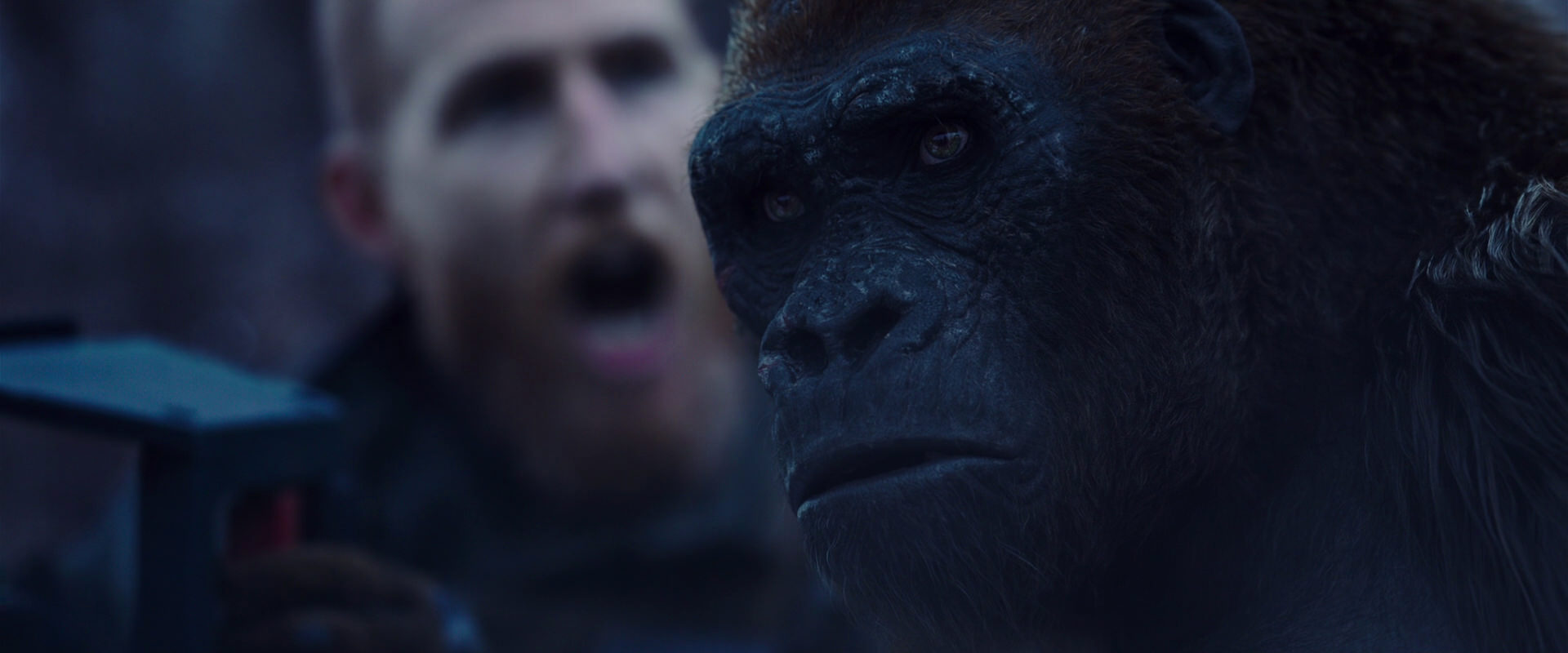 War for the Planet of the Apes (2017) movie still 14122