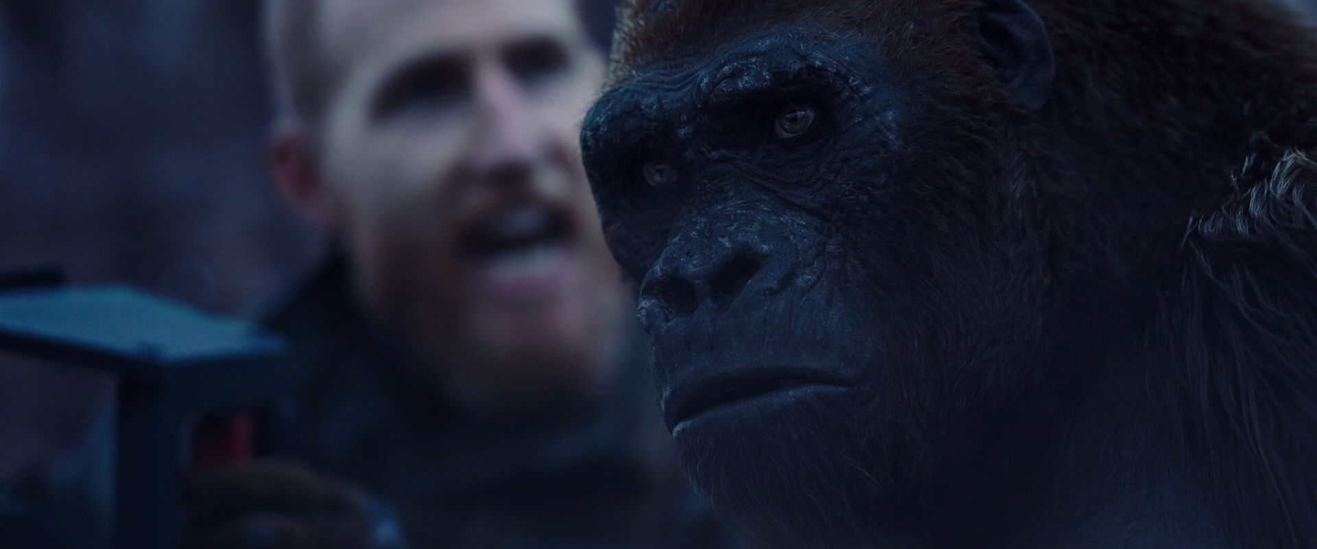 War for the Planet of the Apes (2017) HD screenshot 14123