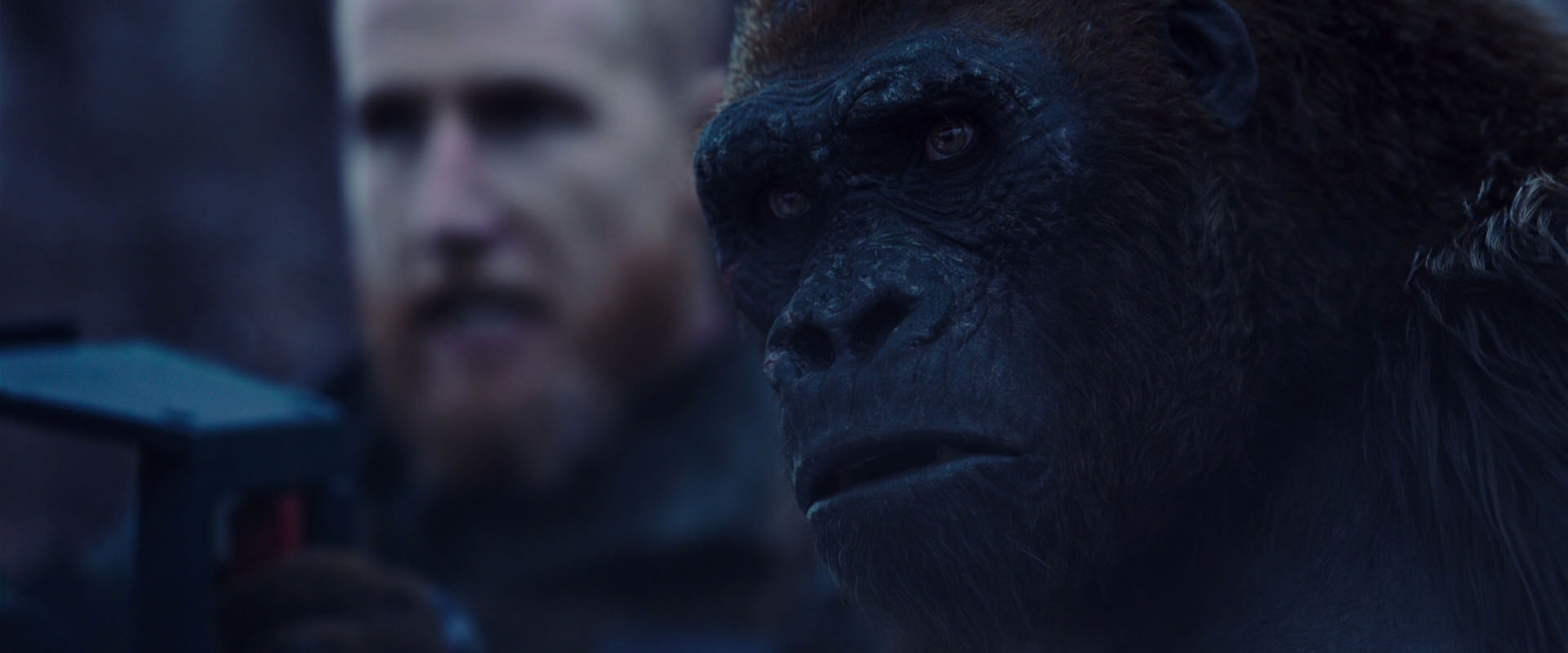 War for the Planet of the Apes (2017) movie still 14125