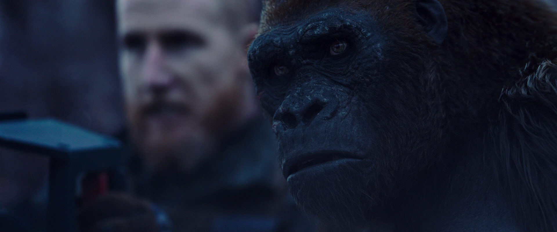 War for the Planet of the Apes (2017) HD screenshot 14126