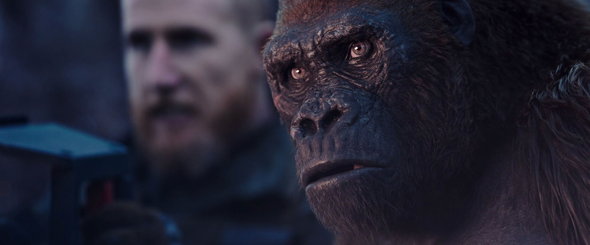 War for the Planet of the Apes (2017) screencap 14127