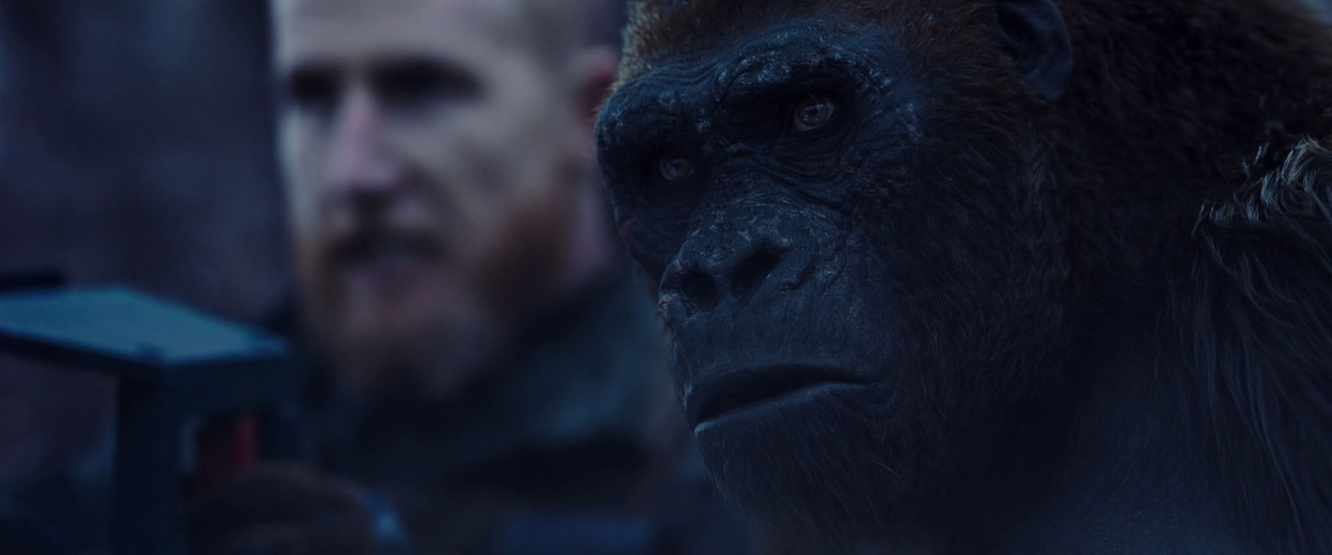 War for the Planet of the Apes (2017) movie still 14128