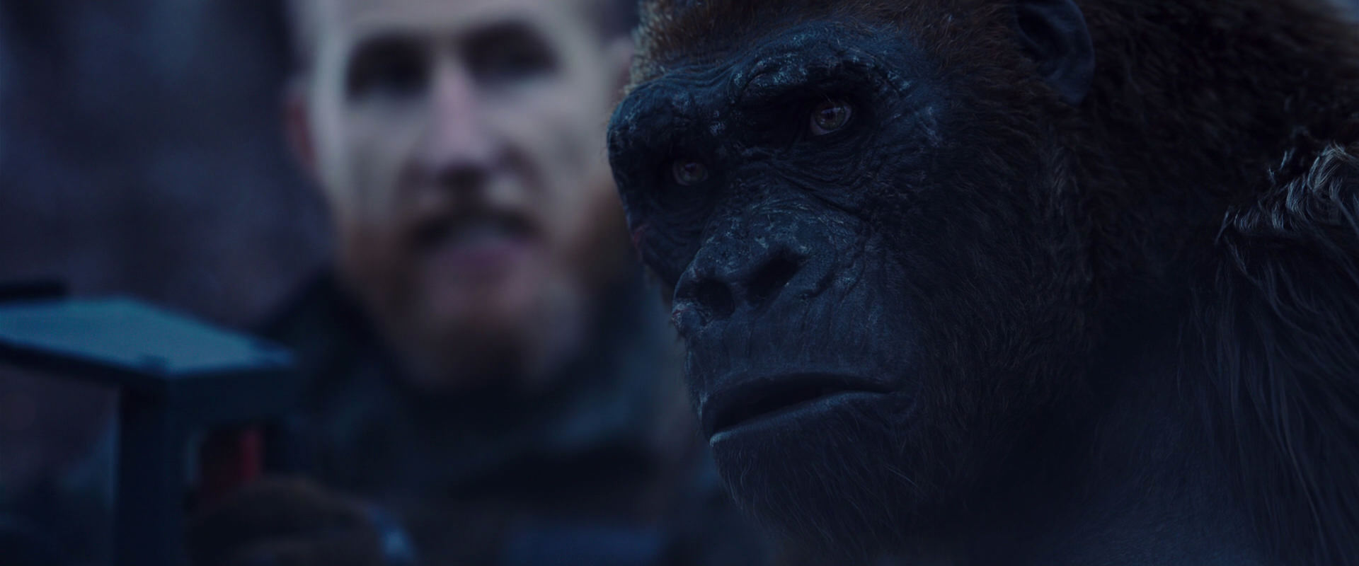 War for the Planet of the Apes (2017) HD screenshot 14129