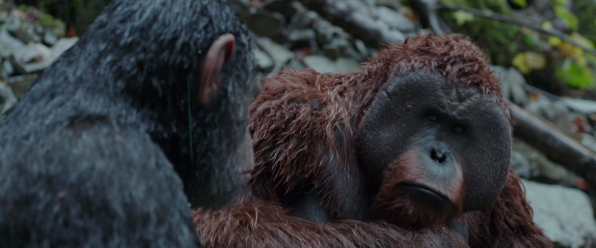 War for the Planet of the Apes (2017) screencap 1413