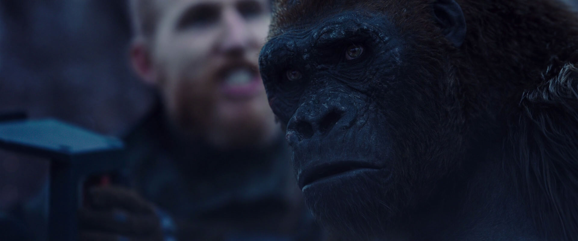 War for the Planet of the Apes (2017) movie still 14131