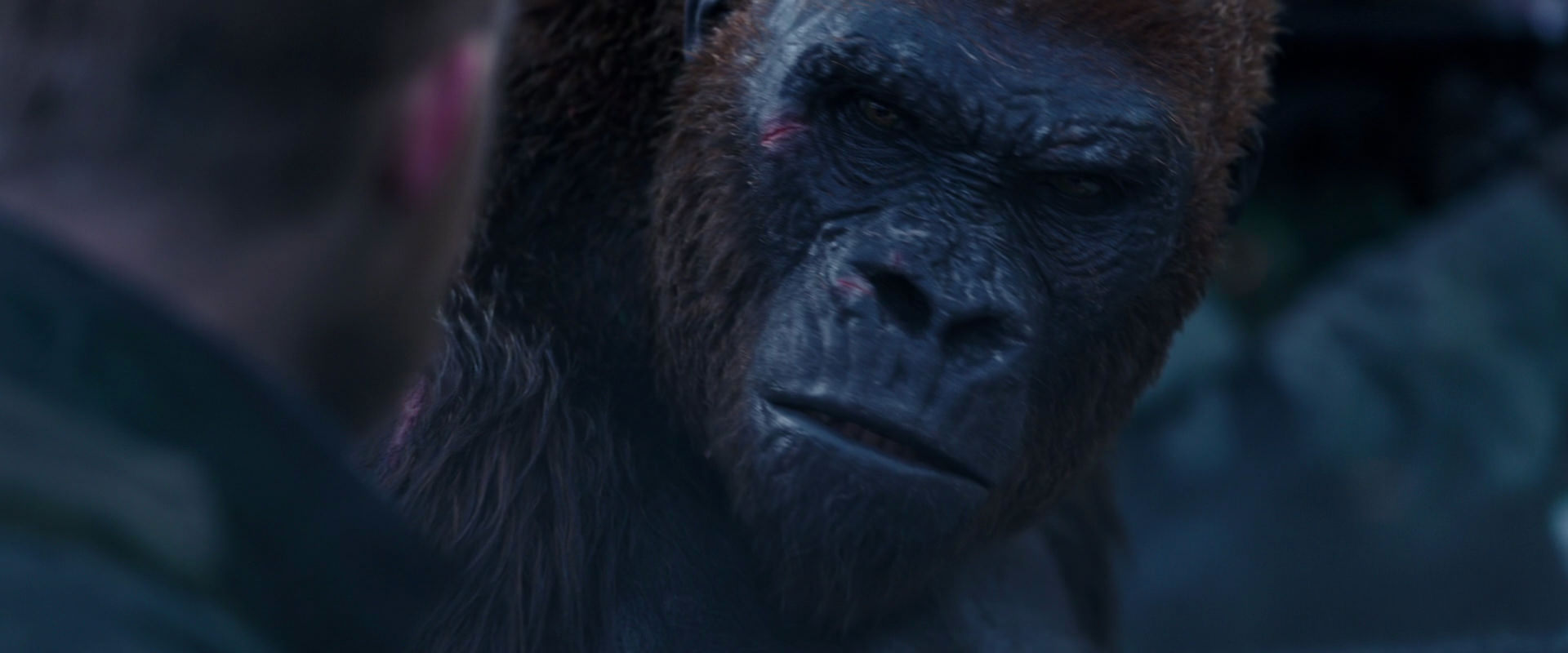 War for the Planet of the Apes (2017) screencap 14133