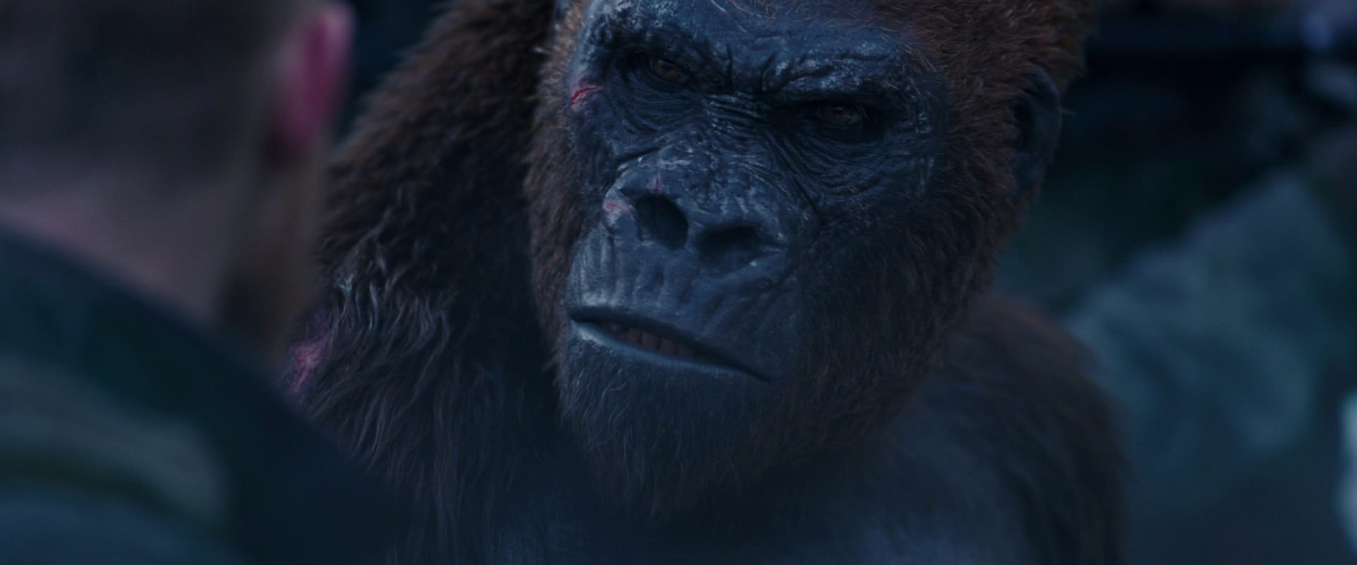 War for the Planet of the Apes (2017) movie still 14134