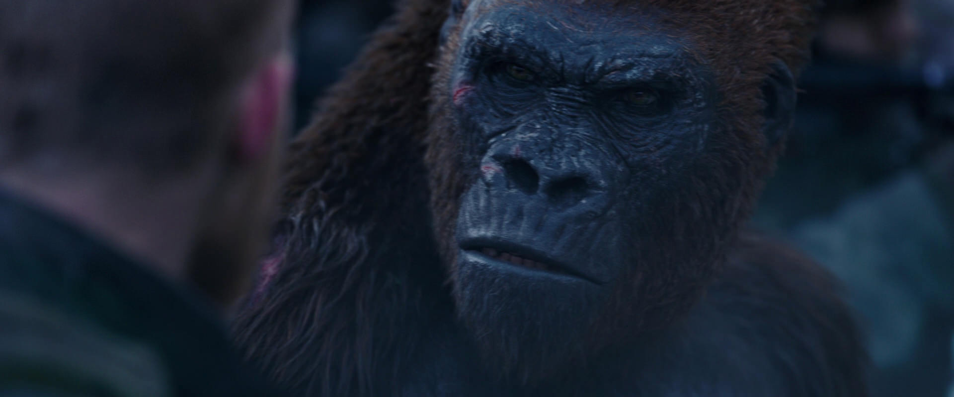War for the Planet of the Apes (2017) HD screenshot 14135