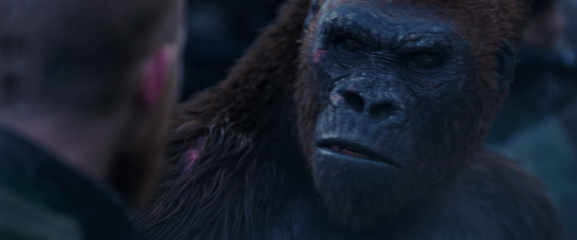 War for the Planet of the Apes (2017) screencap 14136