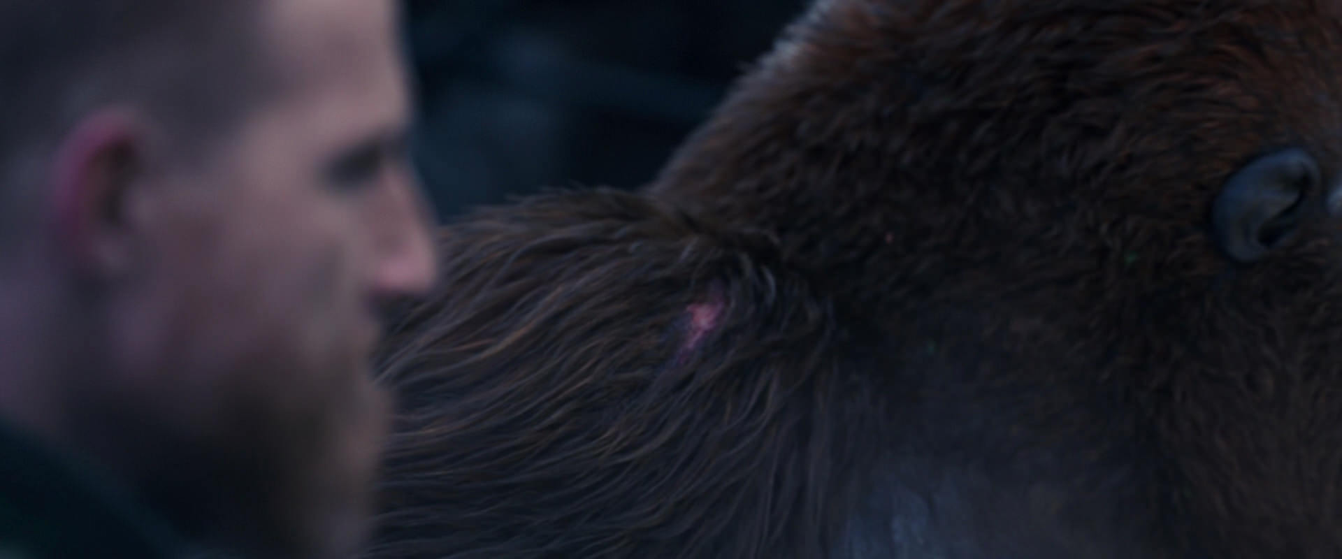 War for the Planet of the Apes (2017) HD screenshot 14138