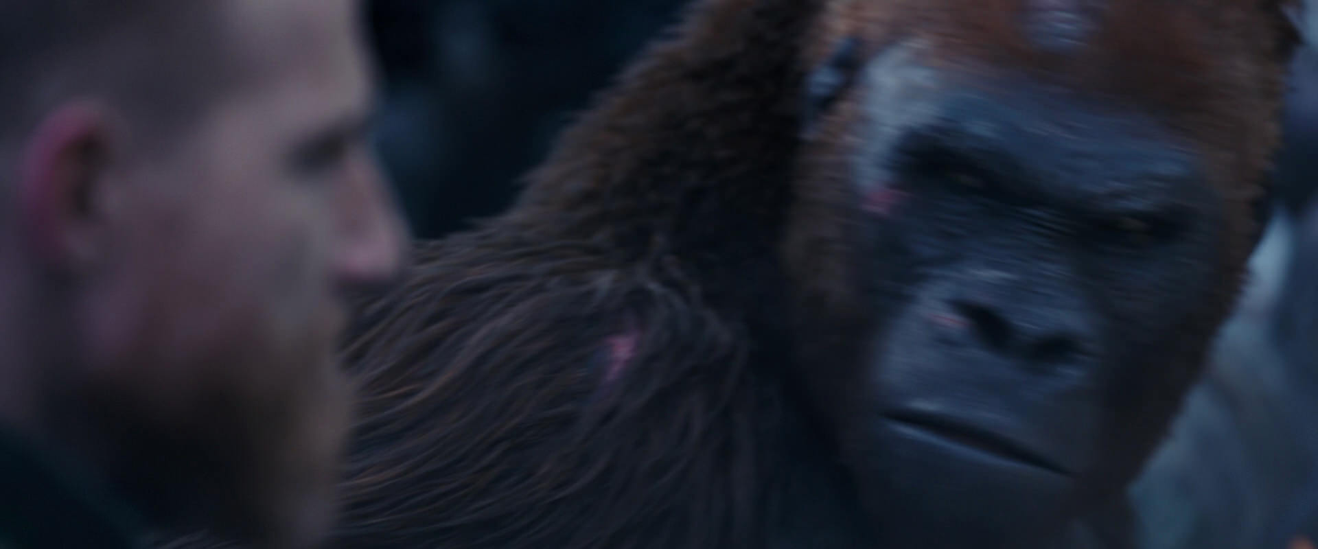 War for the Planet of the Apes (2017) screencap 14139