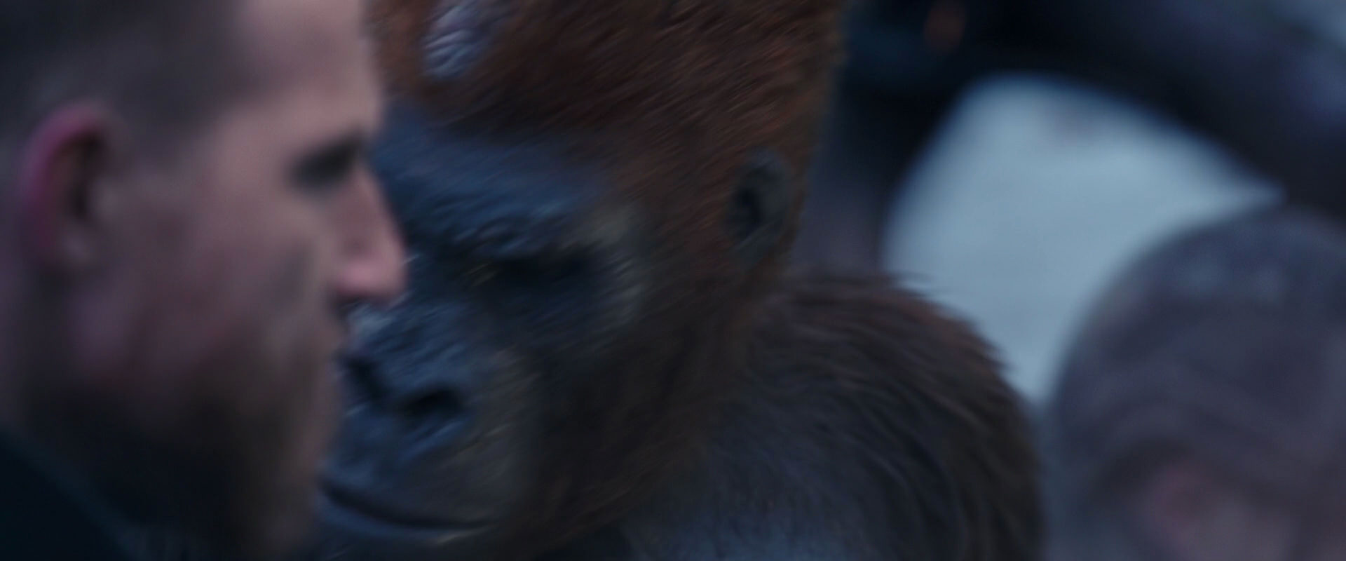 War for the Planet of the Apes (2017) movie still 14140