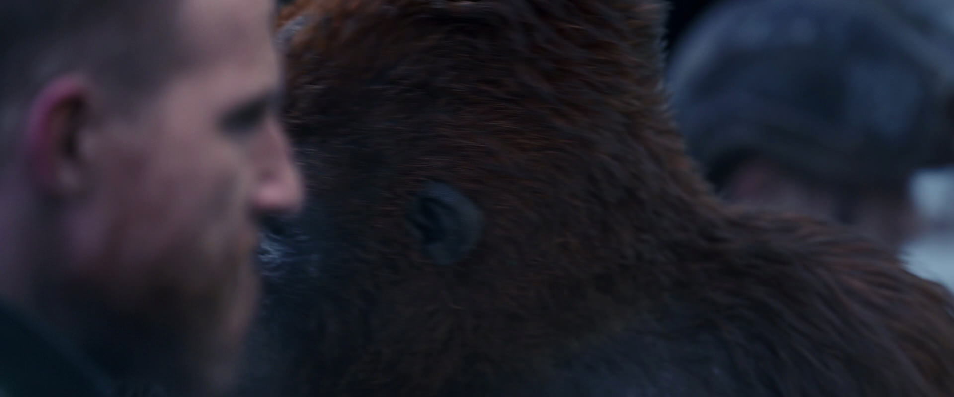 War for the Planet of the Apes (2017) HD screenshot 14141