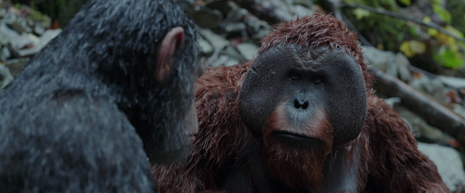 War for the Planet of the Apes (2017) HD screenshot 1415