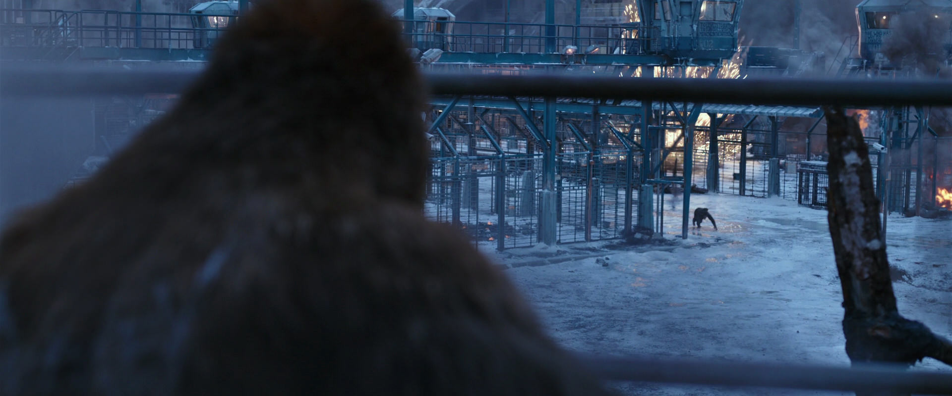 War for the Planet of the Apes (2017) screencap 14154
