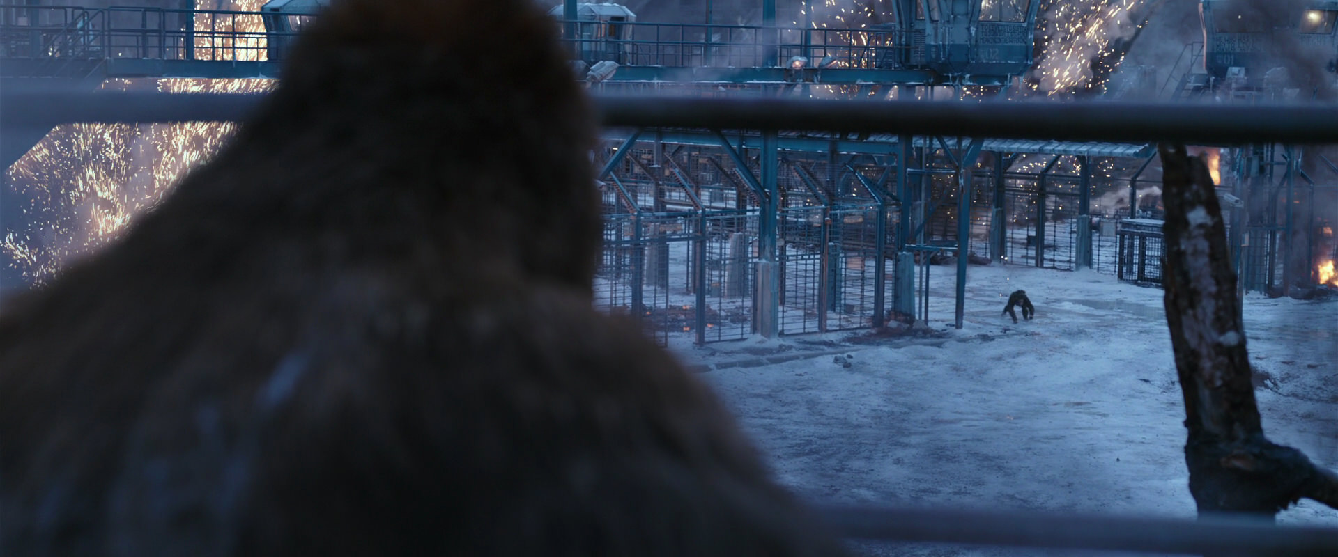 War for the Planet of the Apes (2017) movie still 14155