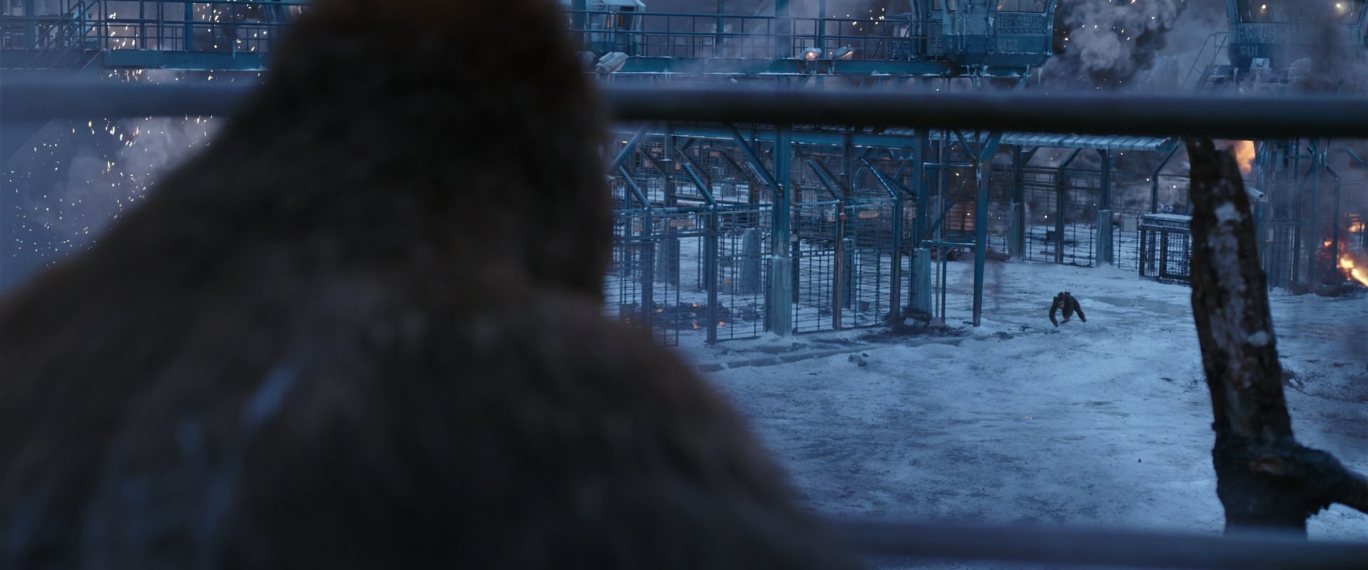 War for the Planet of the Apes (2017) HD screenshot 14156
