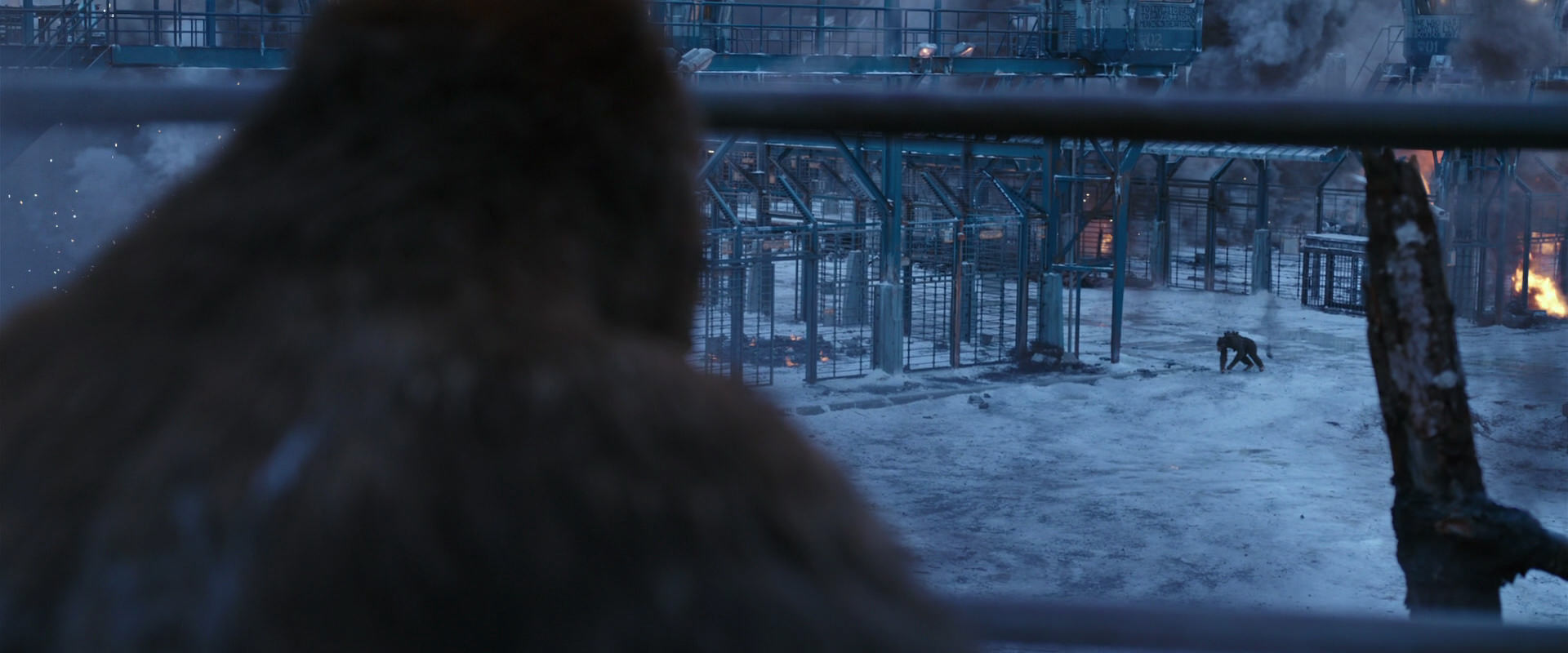 War for the Planet of the Apes (2017) screencap 14157