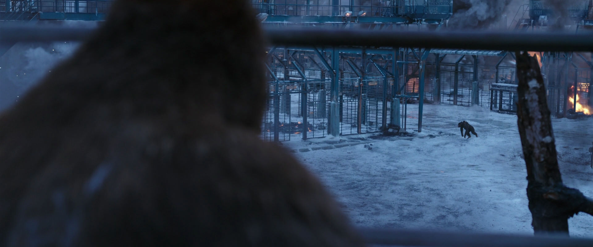 War for the Planet of the Apes (2017) movie still 14158