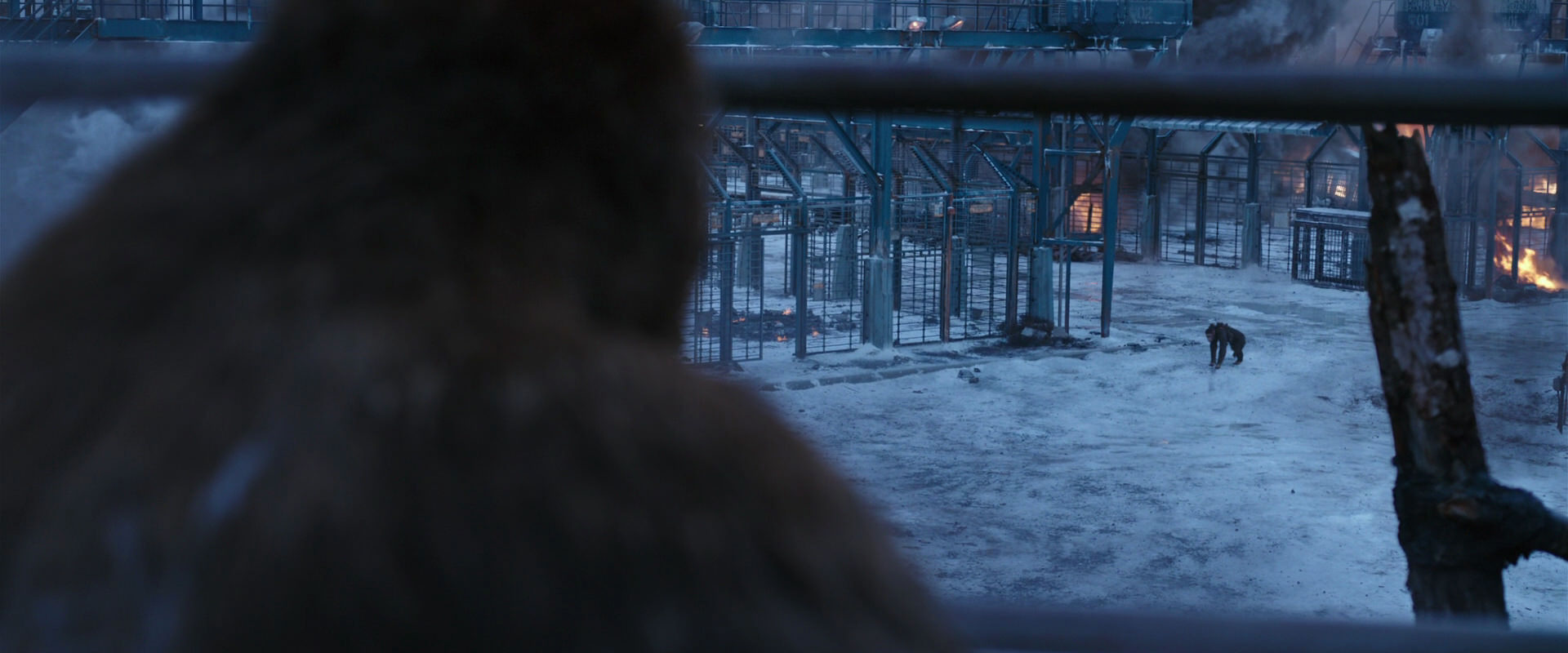 War for the Planet of the Apes (2017) HD screenshot 14159