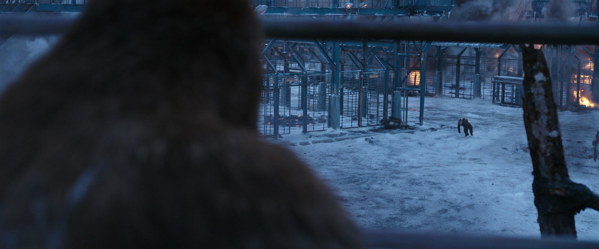 War for the Planet of the Apes (2017) screencap 14160