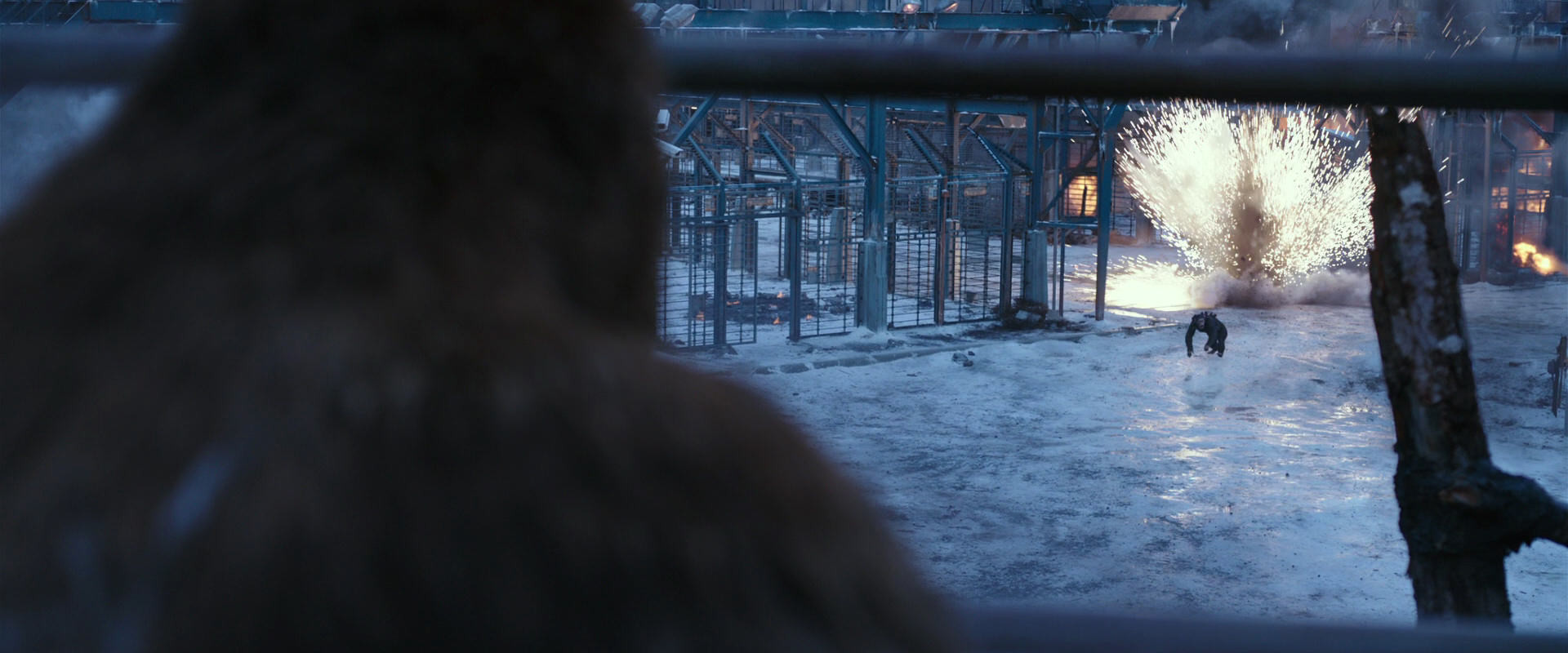 War for the Planet of the Apes (2017) movie still 14161