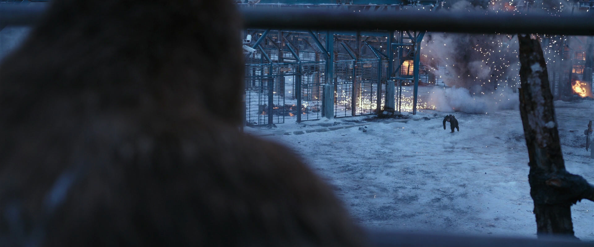 War for the Planet of the Apes (2017) screencap 14163