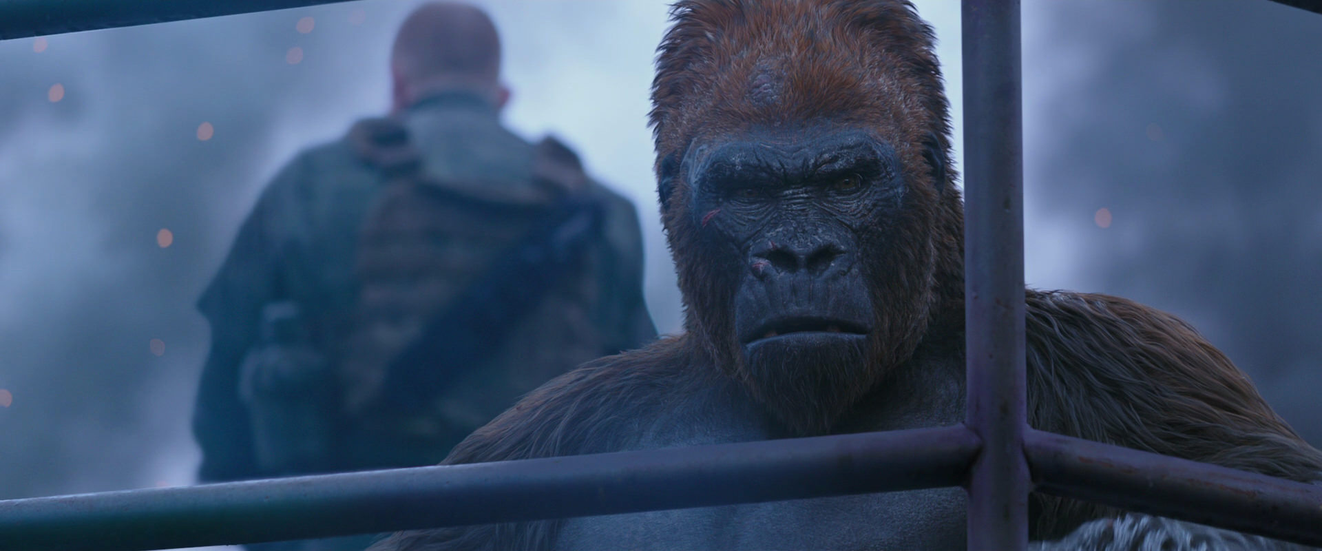 War for the Planet of the Apes (2017) HD screenshot 14171
