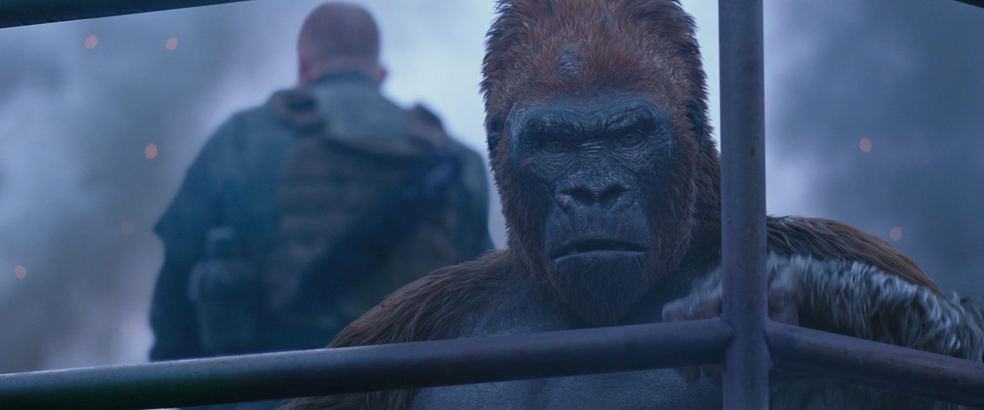 War for the Planet of the Apes (2017) screencap 14172