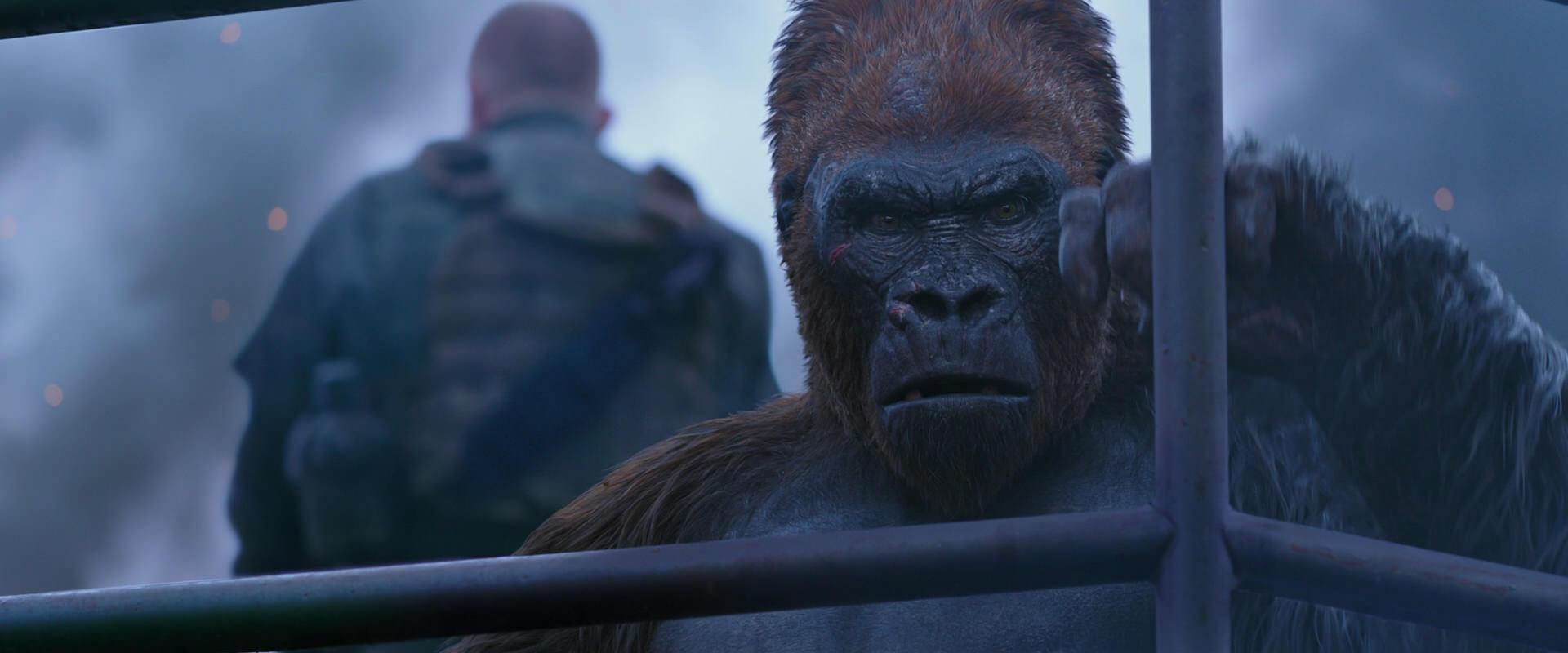 War for the Planet of the Apes (2017) movie still 14173
