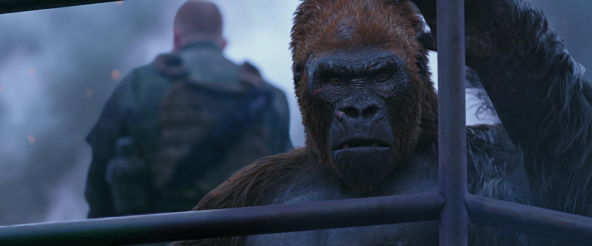 War for the Planet of the Apes (2017) HD screenshot 14174