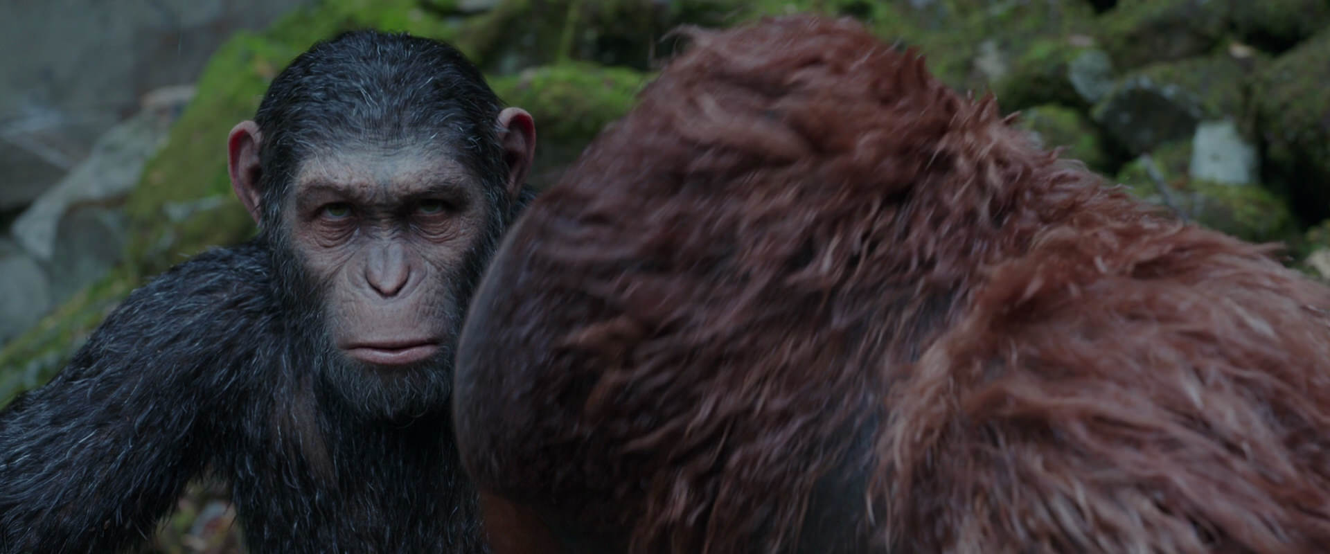 War for the Planet of the Apes (2017) HD screenshot 1418