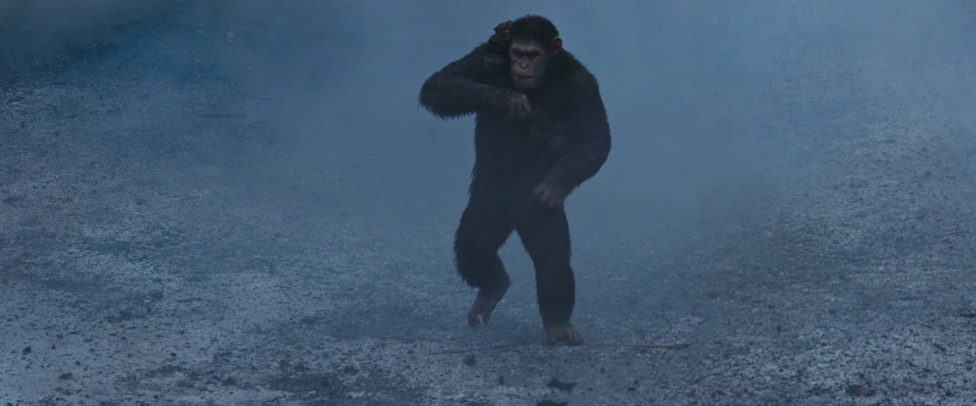 War for the Planet of the Apes (2017) screencap 14184