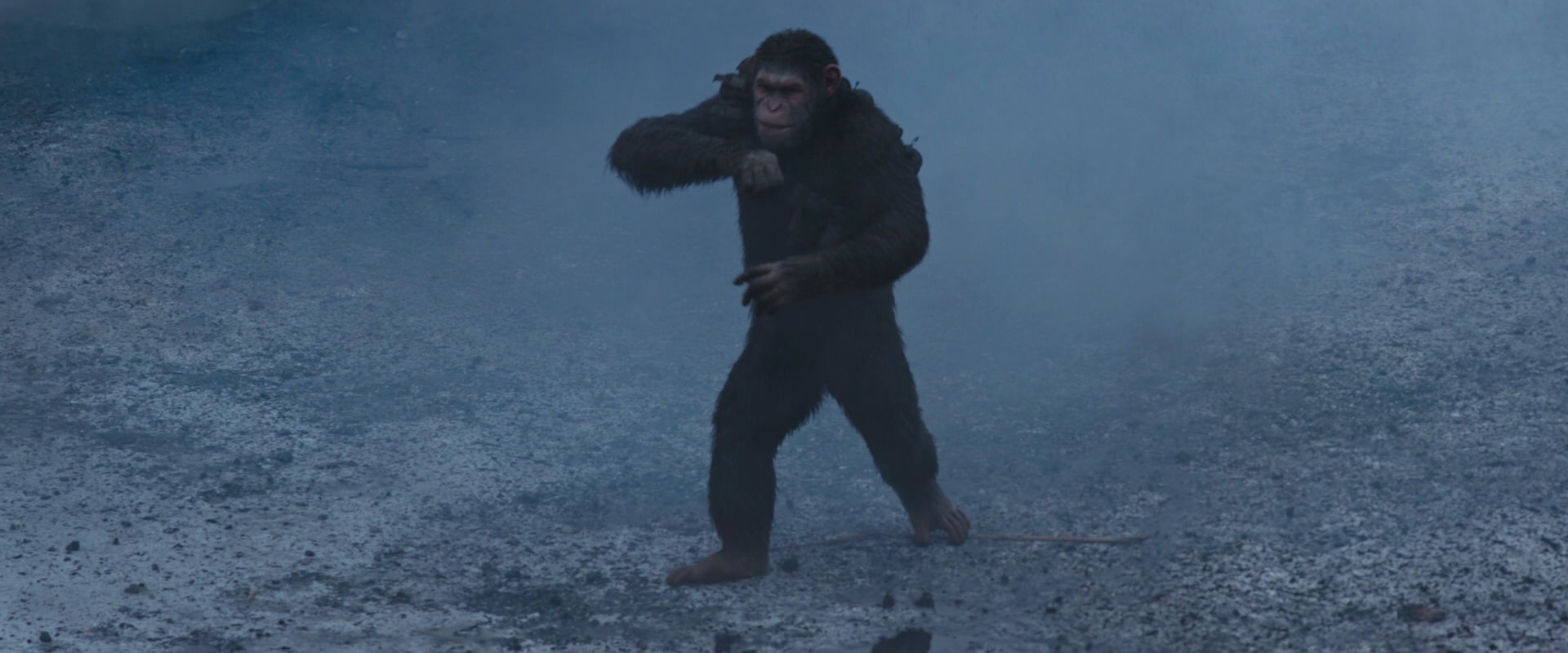 War for the Planet of the Apes (2017) movie still 14185