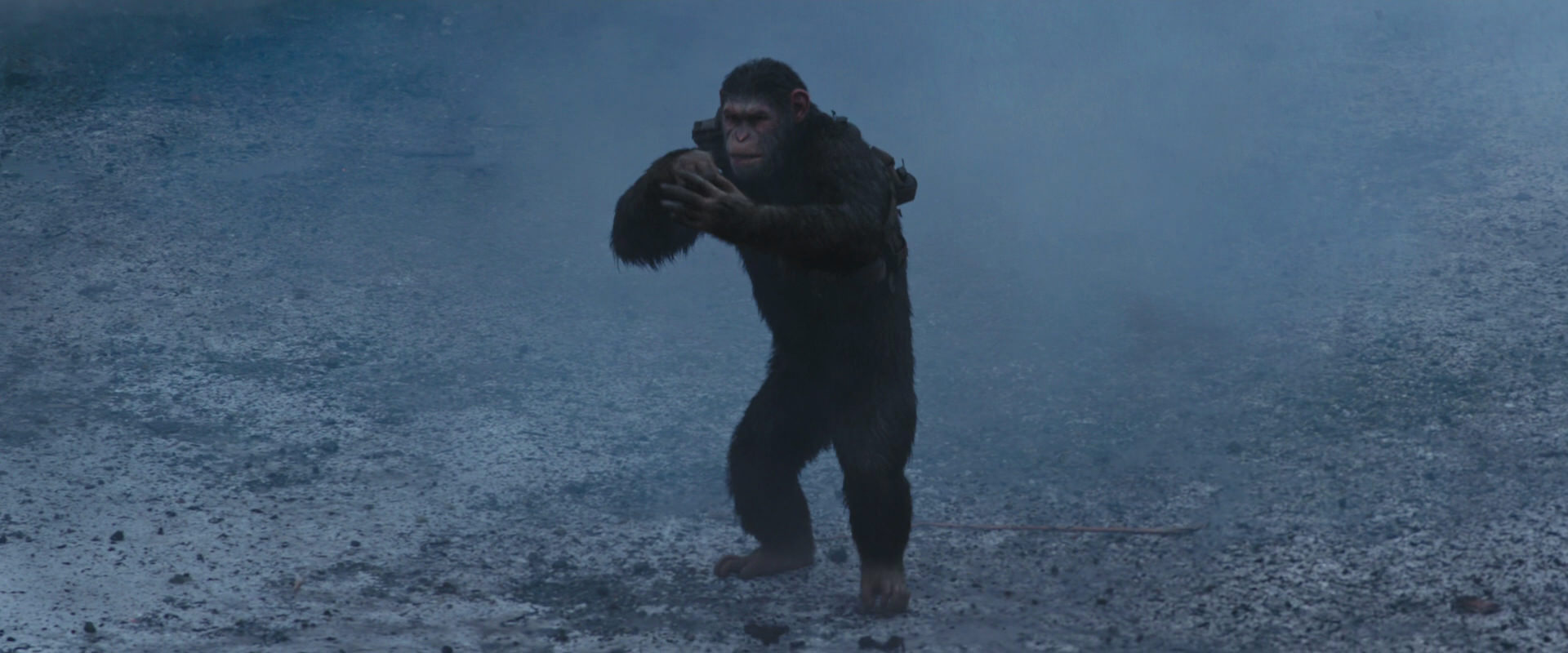 War for the Planet of the Apes (2017) HD screenshot 14186