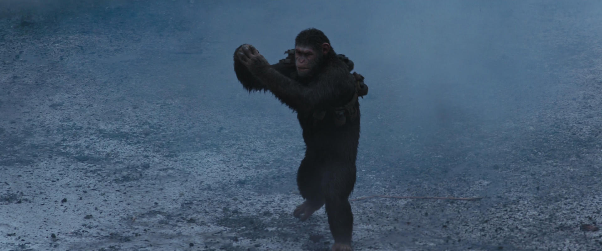 War for the Planet of the Apes (2017) screencap 14187