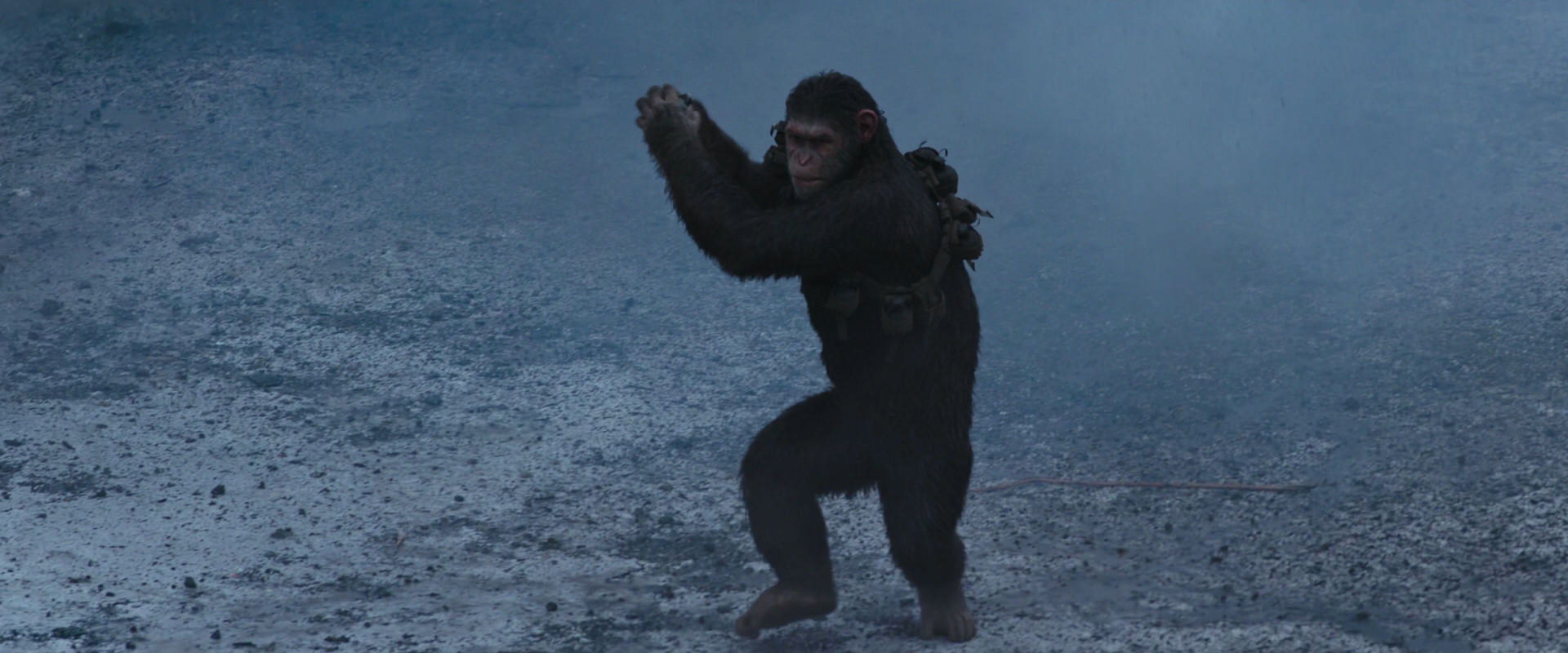 War for the Planet of the Apes (2017) movie still 14188