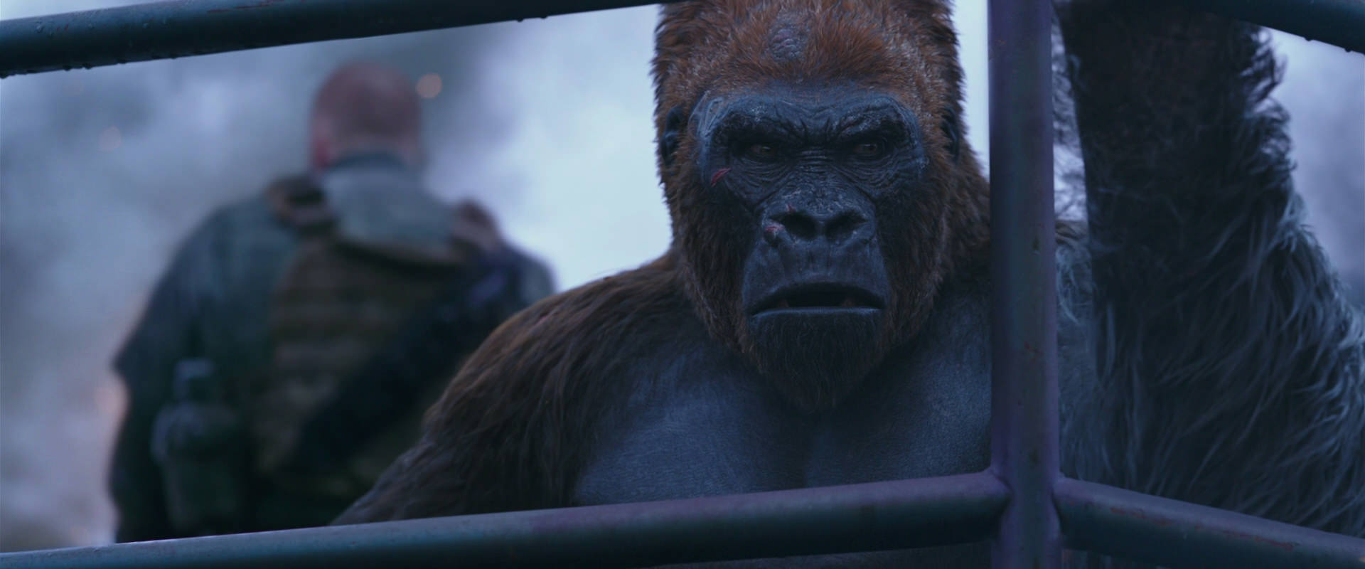 War for the Planet of the Apes (2017) HD screenshot 14189