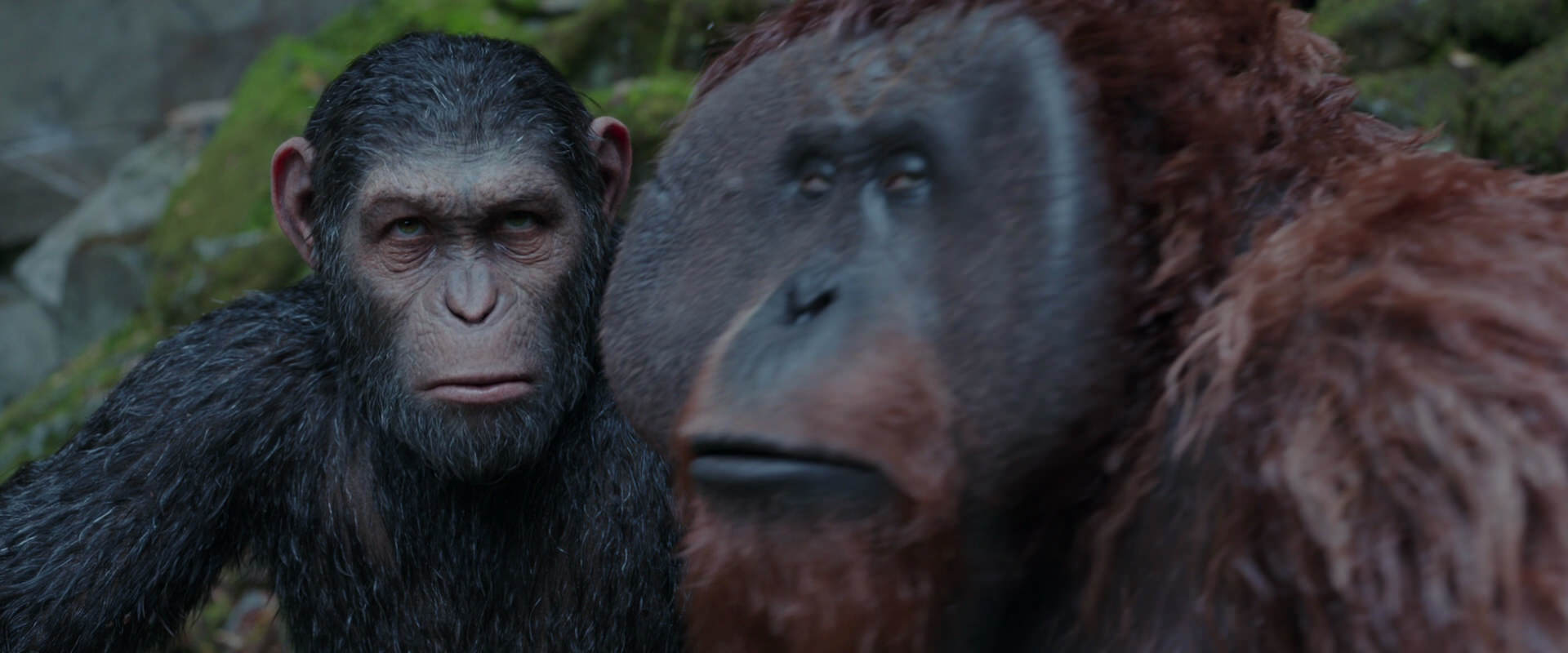 War for the Planet of the Apes (2017) screencap 1419
