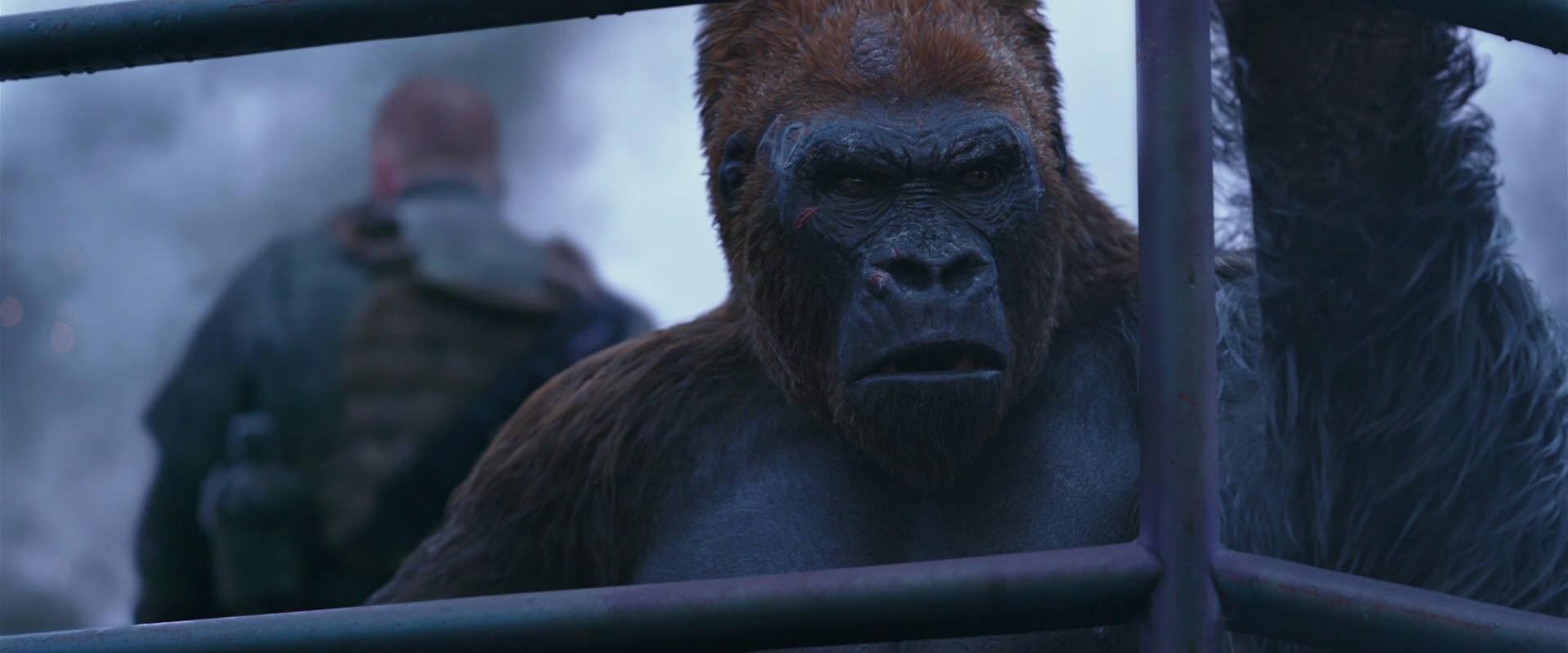 War for the Planet of the Apes (2017) screencap 14190
