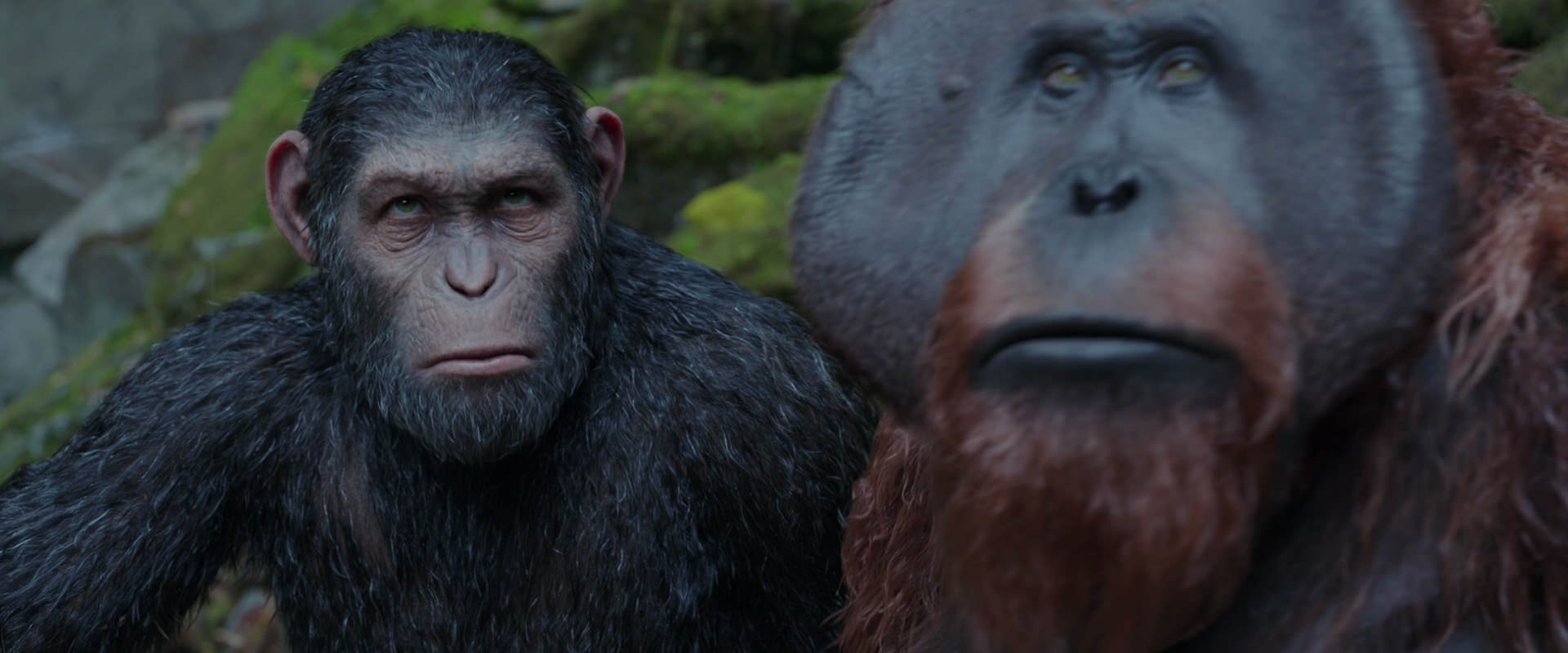 War for the Planet of the Apes (2017) movie still 1420