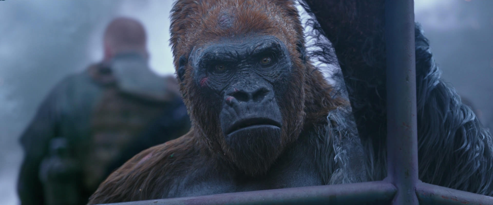 War for the Planet of the Apes (2017) HD screenshot 14207
