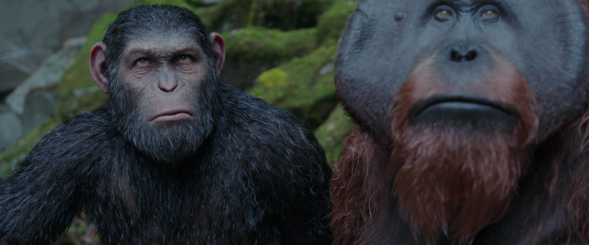War for the Planet of the Apes (2017) HD screenshot 1421