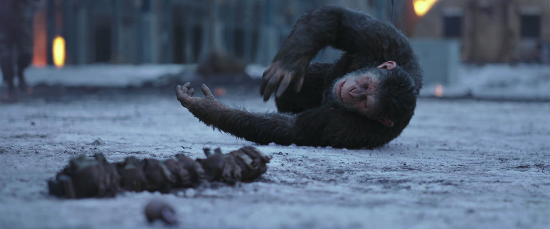 War for the Planet of the Apes (2017) movie still 14218