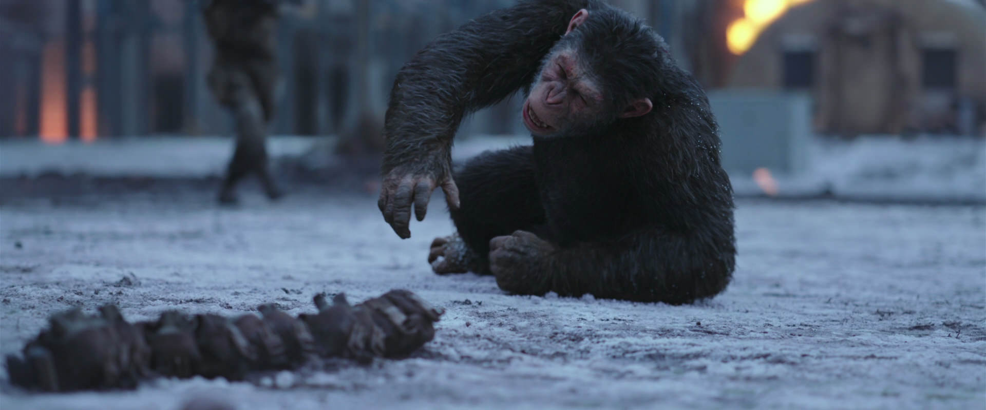 War for the Planet of the Apes (2017) screencap 14223