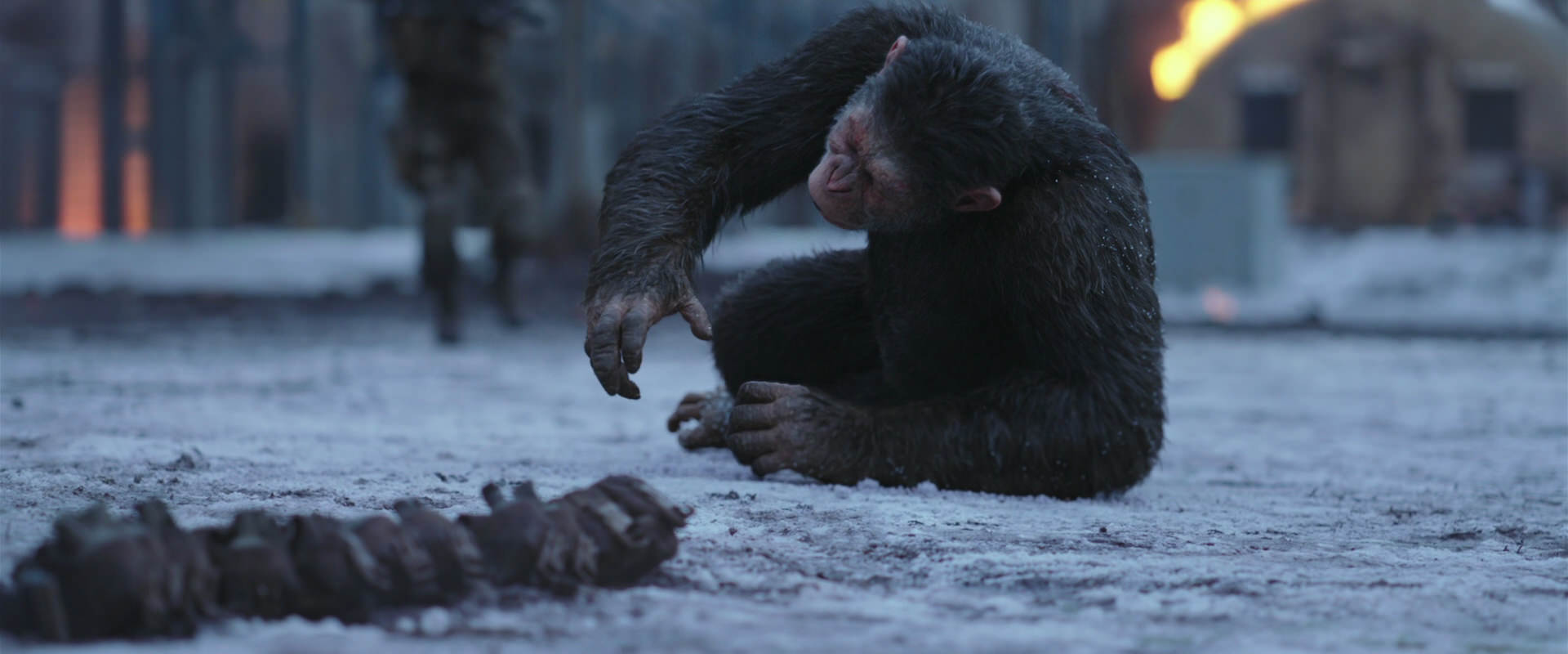 War for the Planet of the Apes (2017) movie still 14224