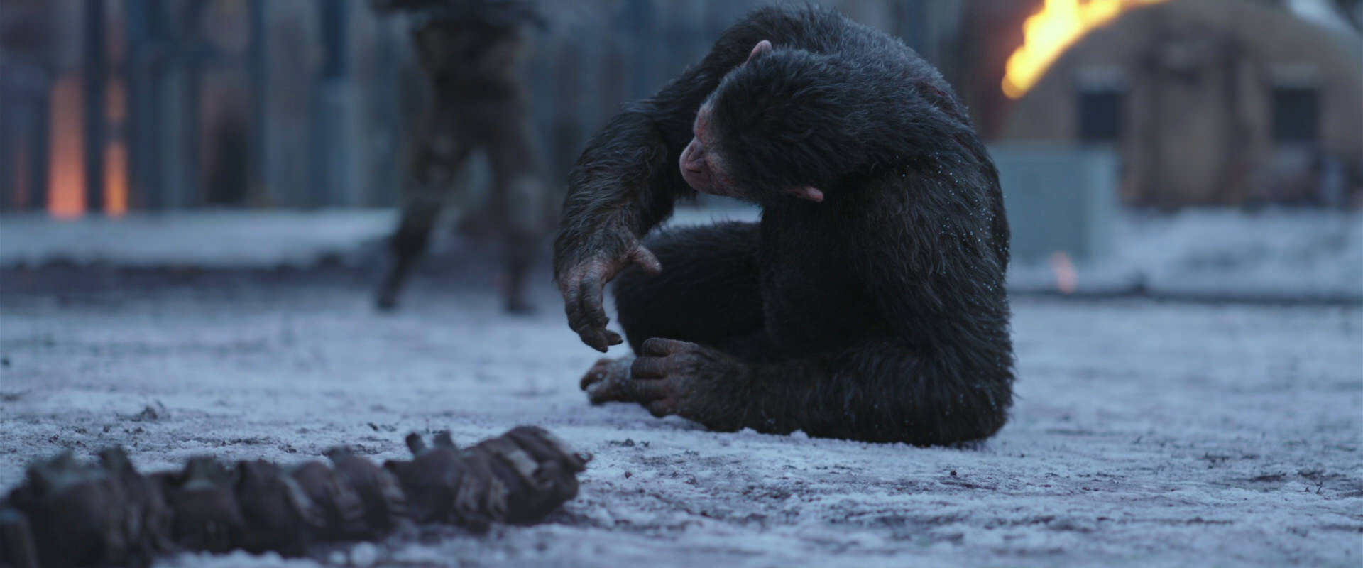 War for the Planet of the Apes (2017) HD screenshot 14225