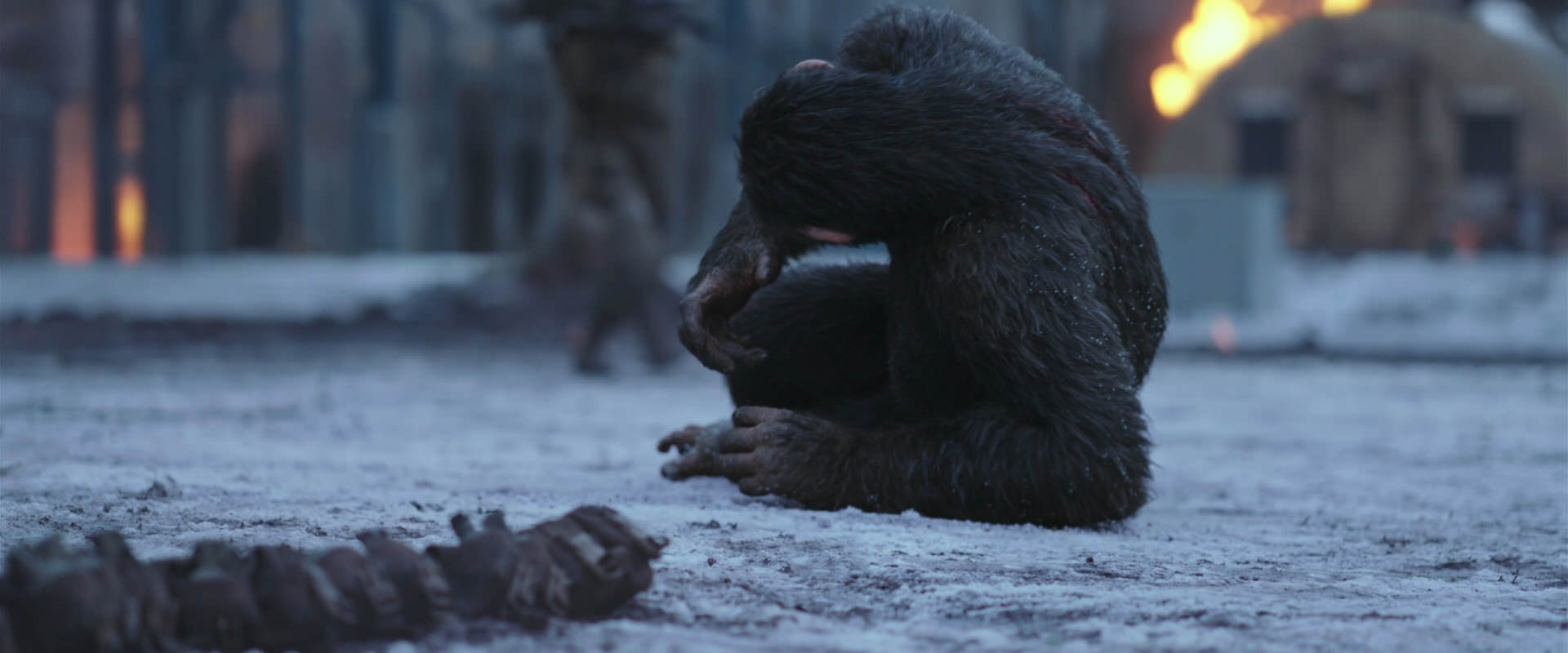 War for the Planet of the Apes (2017) screencap 14226