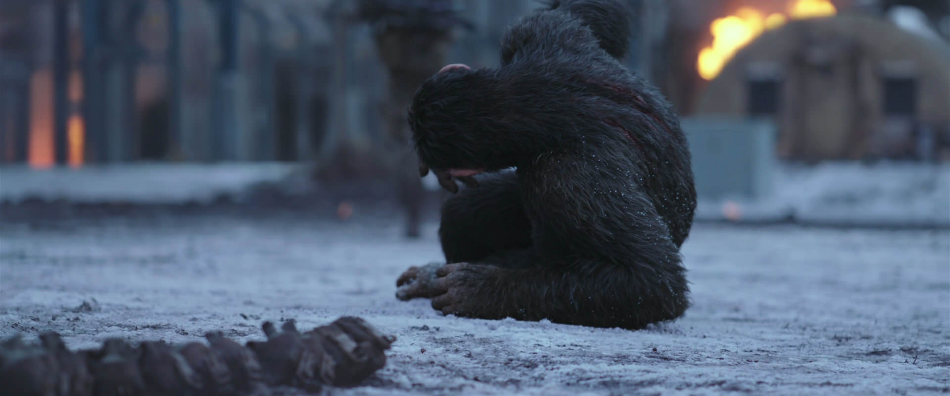 War for the Planet of the Apes (2017) movie still 14227