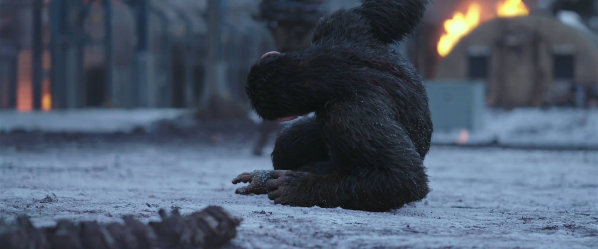 War for the Planet of the Apes (2017) HD screenshot 14228